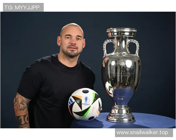 欧洲杯主办国筹备情况