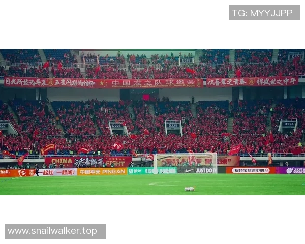 足球世界杯赛场安全措施及应急预案