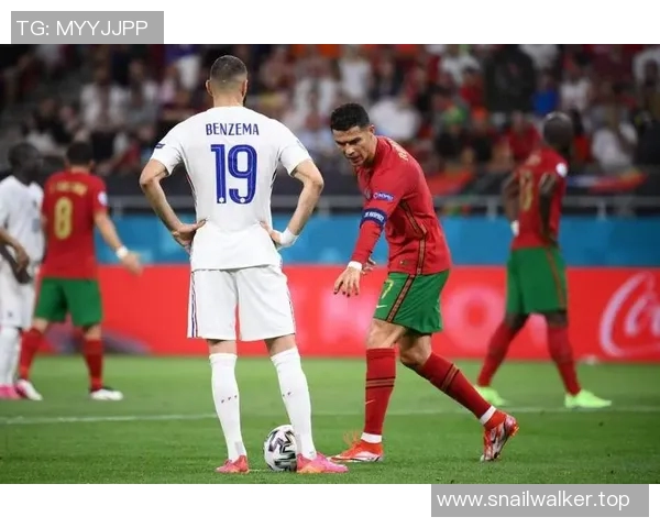 你不知道的欧洲杯：十大冷知识大揭秘