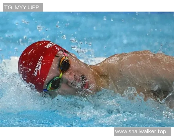 奥运会游泳项目世界纪录及夺冠热门