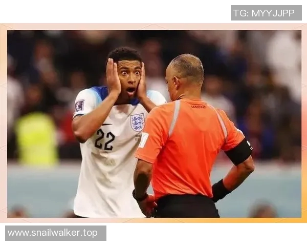 足球世界杯裁判判罚争议事件详细分析