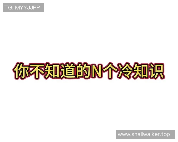 你不知道的三分王：十大冷知识大揭秘