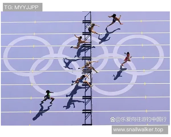 奥运会田径跨栏项目的技术难点分析与科学化训练方法研究 奥运会田径跨栏项目的技术难点分析与科学化训练方法研究