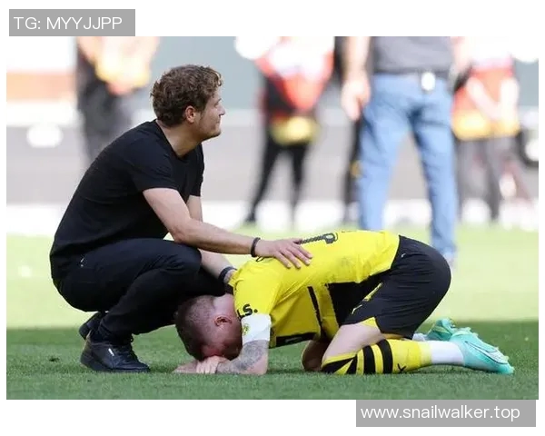 球迷自制应援视频感动球星深情转发展现粉丝无限热爱与支持 球迷自制应援视频感动球星深情转发展现粉丝无限热爱与支持